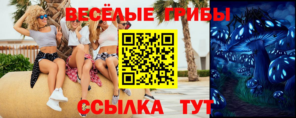 Галлюциногенные грибы мицелий Геленджик