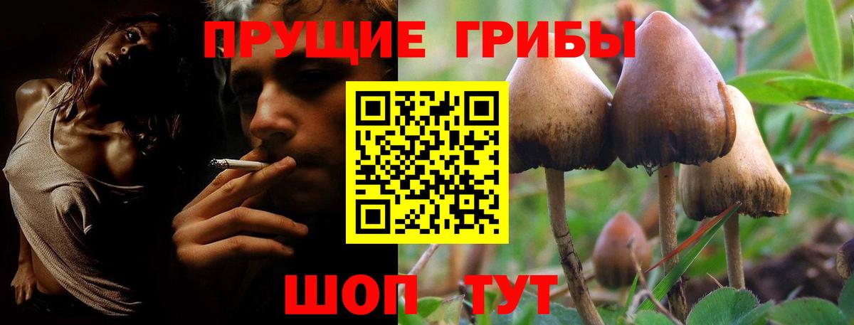 Геленджик  Псилоцибиновые грибы Cubensis  Галлюциногенные грибы прущие грибы  Вход с VPN 